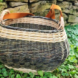 charmotte moyenne daphno